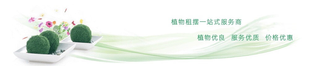 成都心怡花卉租賃有限公司網站banner